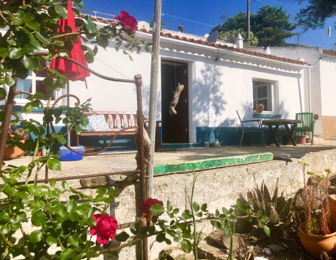 Villa Casa Anneli - Relaxing Under The Olive Tree Aljezur Esterno foto