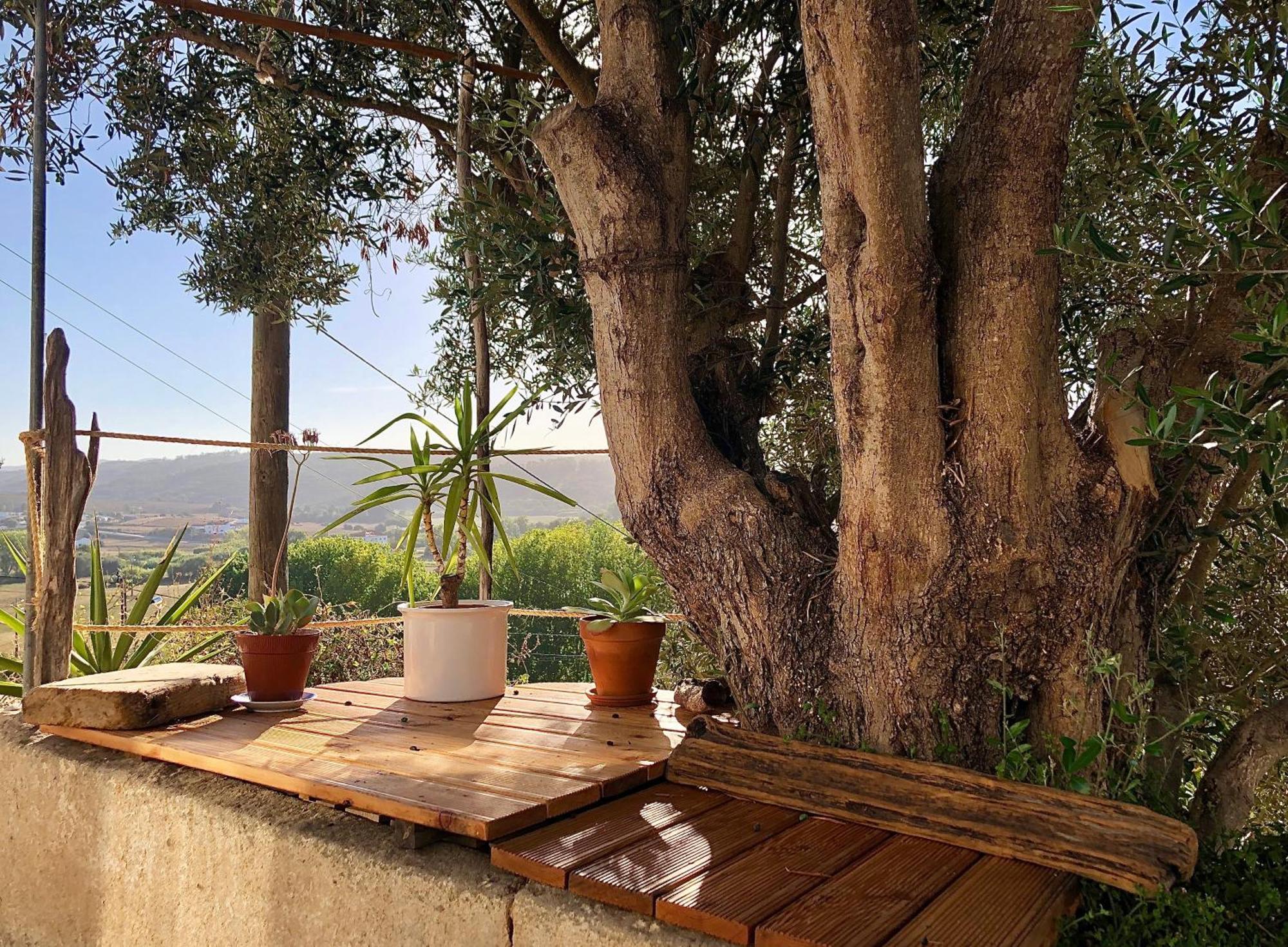 Villa Casa Anneli - Relaxing Under The Olive Tree Aljezur Esterno foto